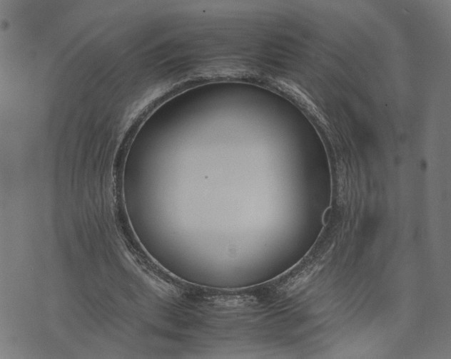 X0000074210439200609081535