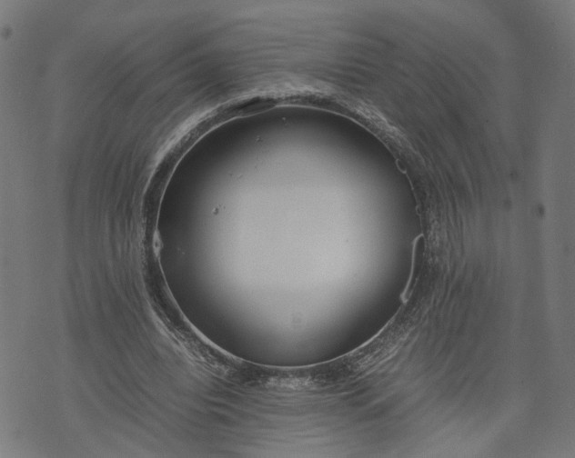 X0000074210440200609081535