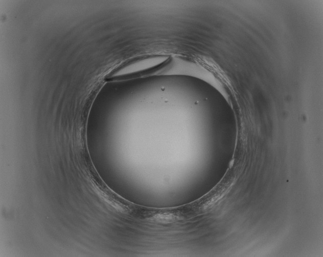 X0000074210441200609081535