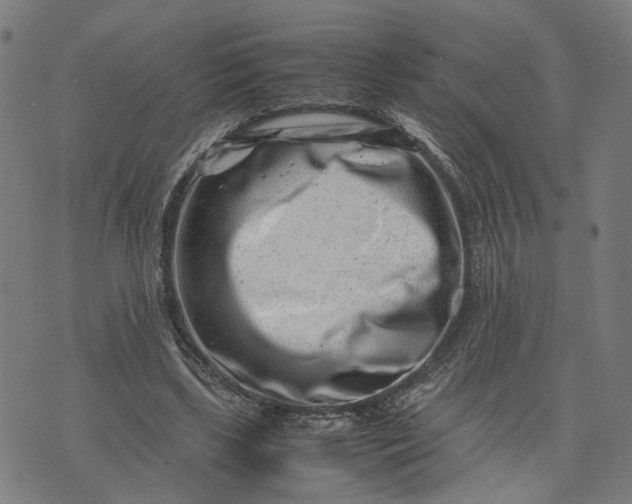 X0000074210443200609081535