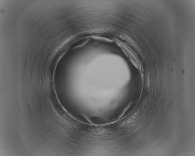 X0000074210444200609081535