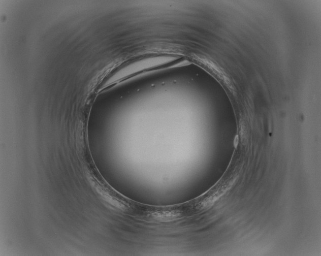 X0000074210445200609081535