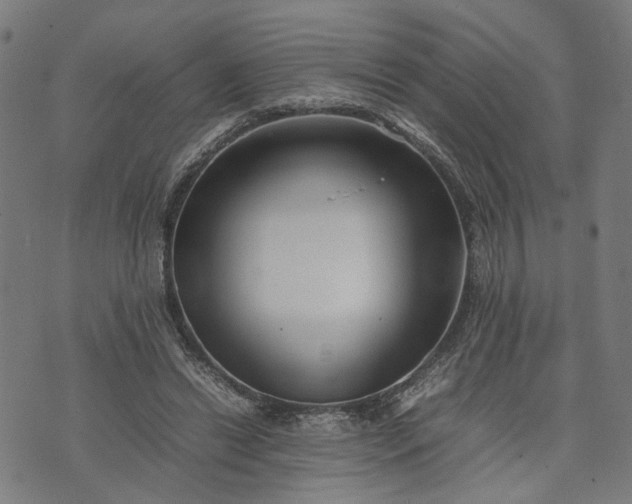 X0000074210446200609081535