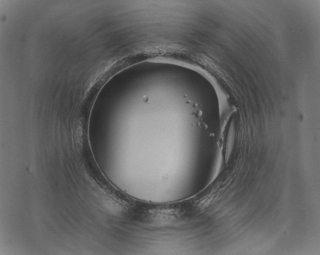 X0000074210448200609081535