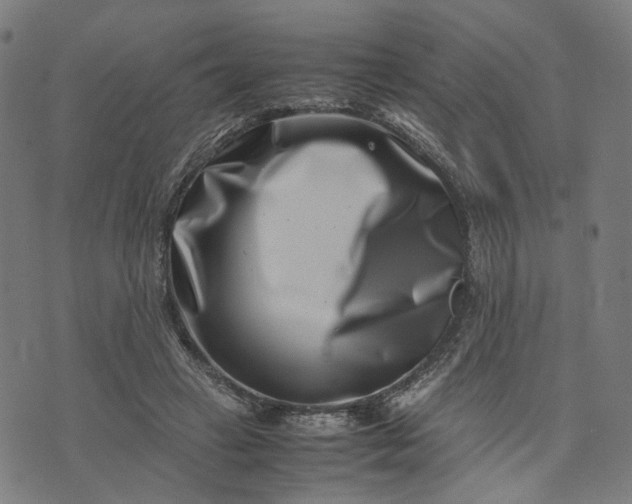 X0000074210449200609081535