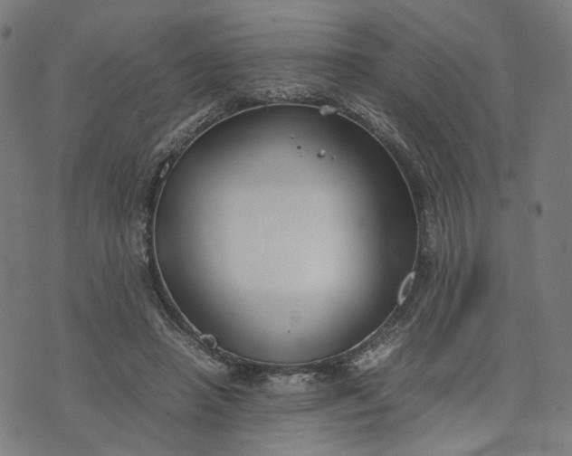 X0000074210450200609081535