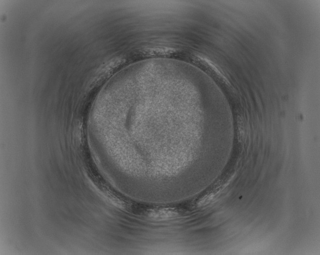 X0000074210451200609081535