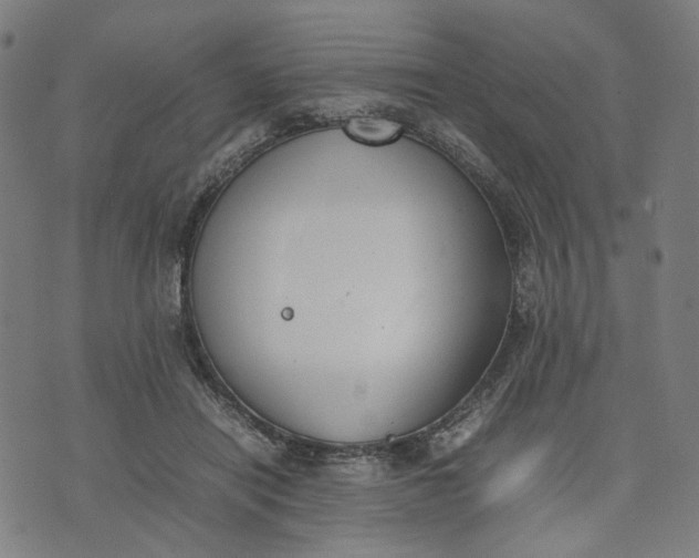 X0000074210454200609081535