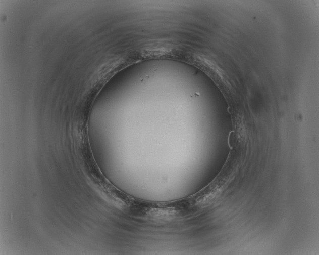 X0000074210455200609081535