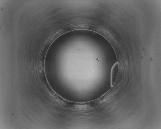 X0000074210457200609081535