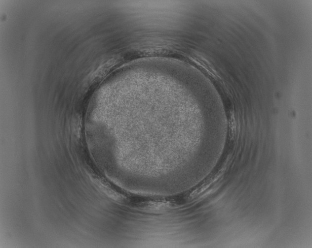 X0000074210458200609081535