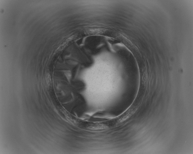 X0000074210459200609081535