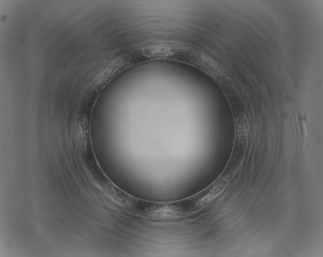 X0000074210460200609081535