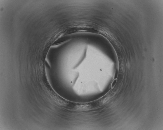 X0000074210461200609081535