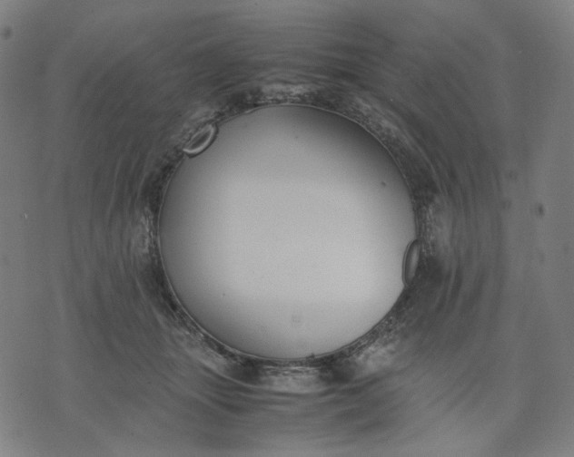 X0000074210463200609081535