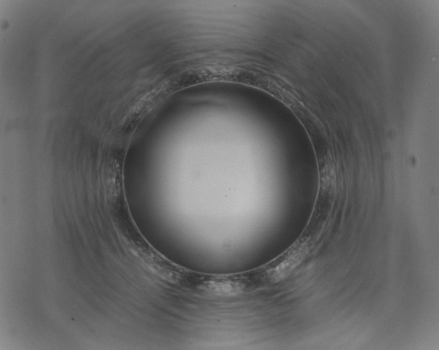 X0000074210464200609081535