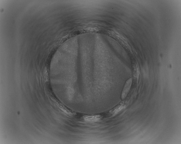 X0000074210465200609081535