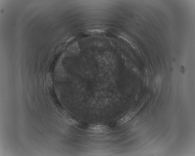 X0000074210467200609081535