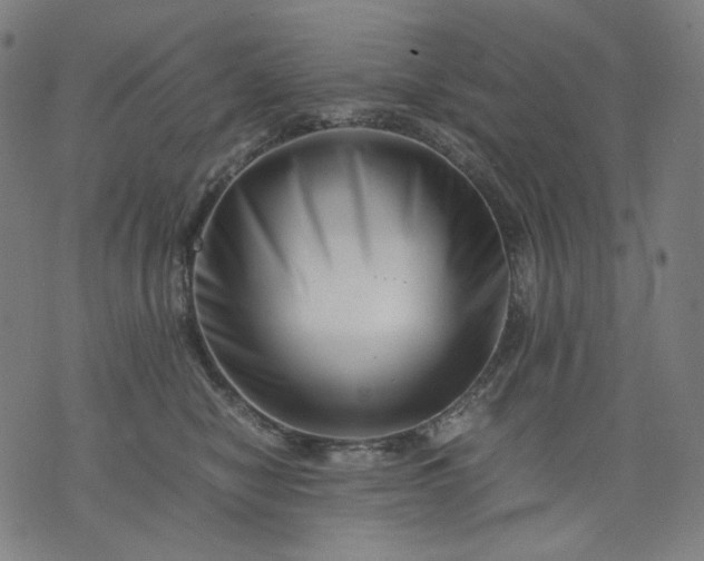 X0000074210470200609081535