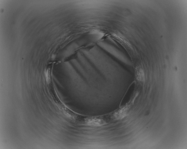 X0000074210471200609081535