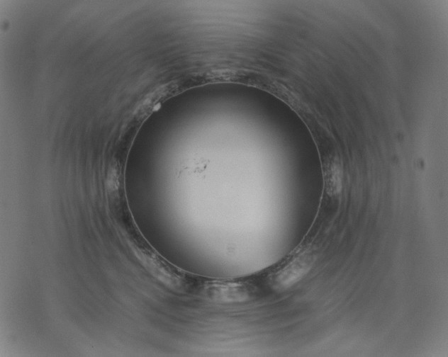 X0000074210472200609081535