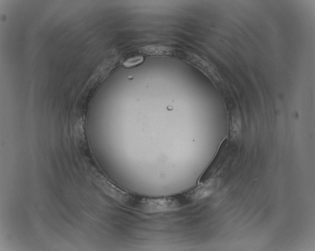 X0000074210473200609081535