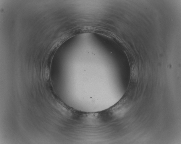 X0000074210474200609081535