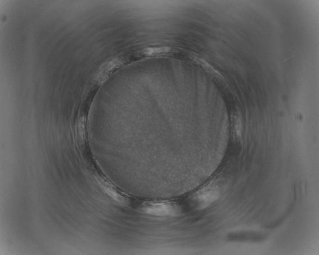 X0000074210475200609081535