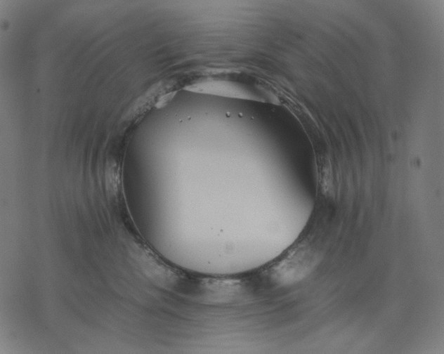 X0000074210476200609081535