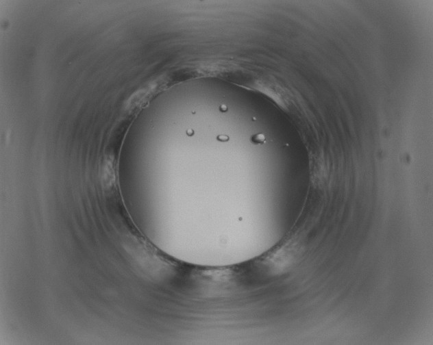 X0000074210478200609081535