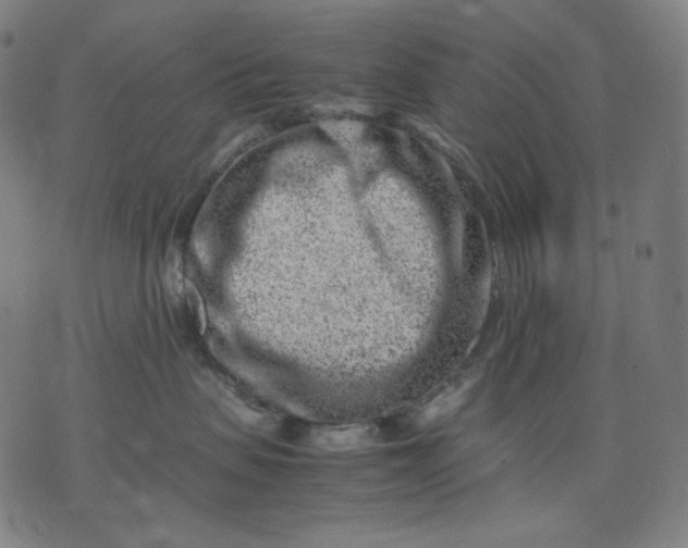 X0000074210479200609081535