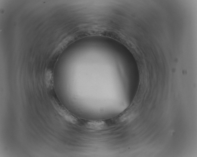 X0000074210480200609081535