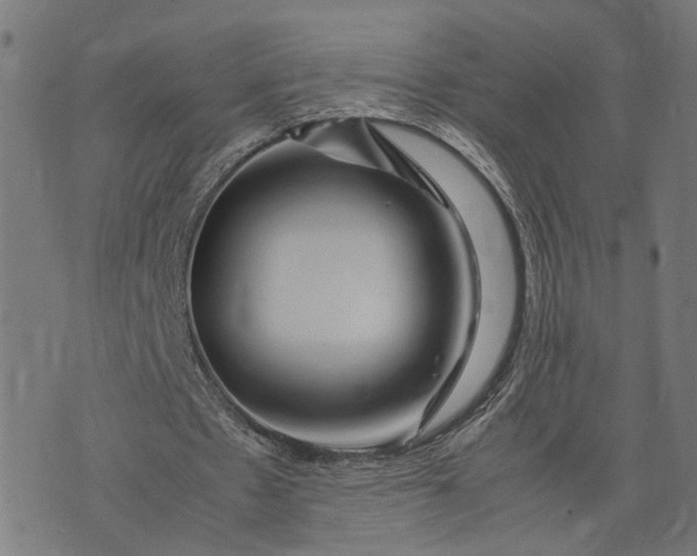 X0000074210481200609081535