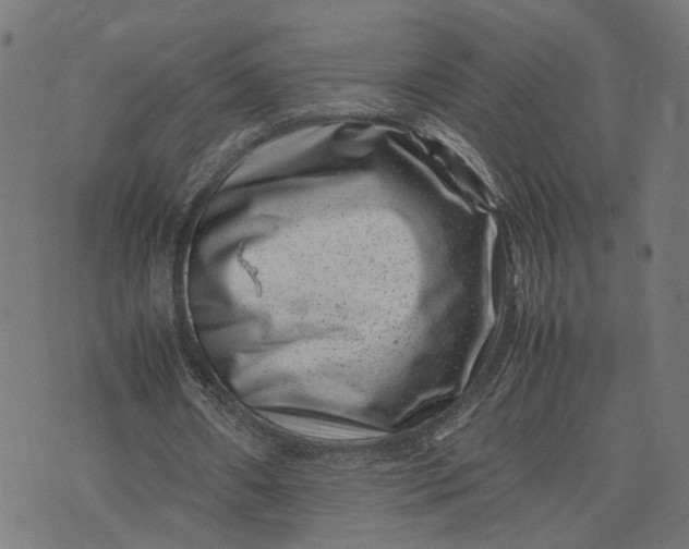 X0000074210482200609081535