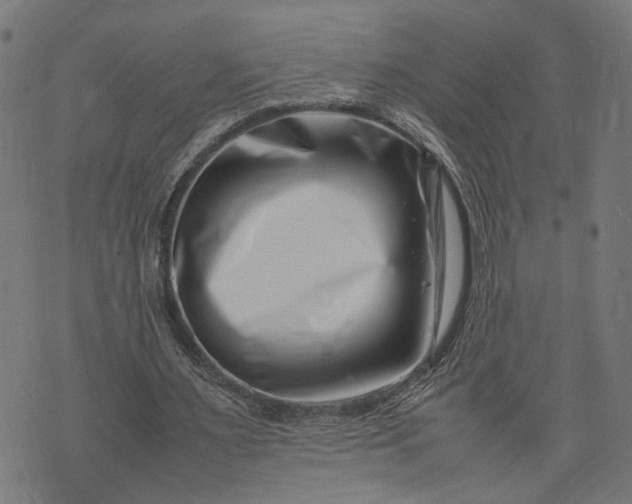 X0000074210483200609081535