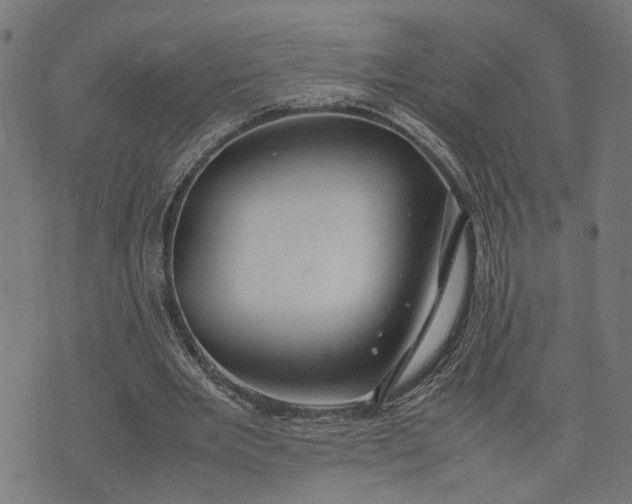 X0000074210485200609081535