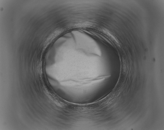 X0000074210486200609081535