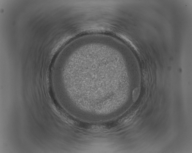 X0000074210487200609081535