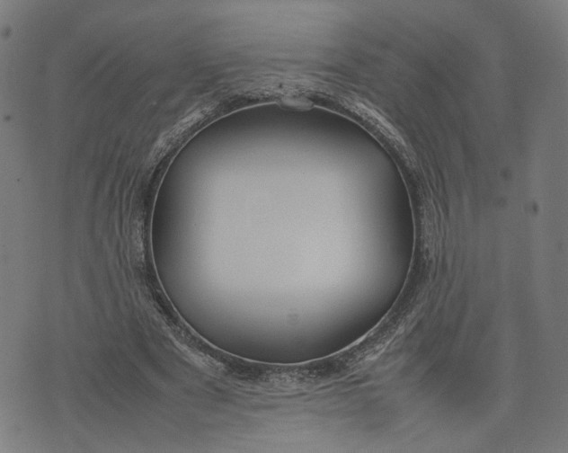 X0000074210489200609081535