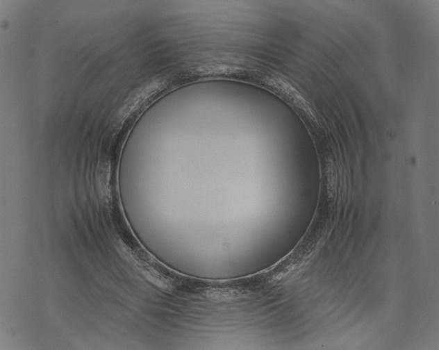 X0000074210490200609081534