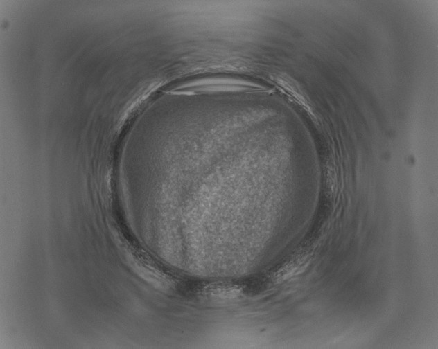 X0000074210491200609081534