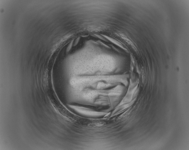 X0000074210492200609081534