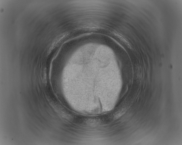 X0000074210494200609081534