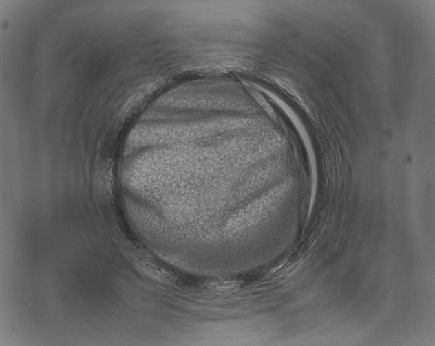 X0000074210495200609081534