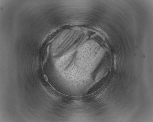 X0000074210496200609081534