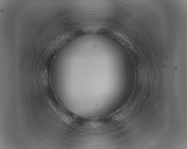 X0000074210498200609081534