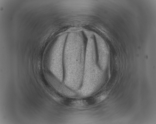 X0000074210499200609081534