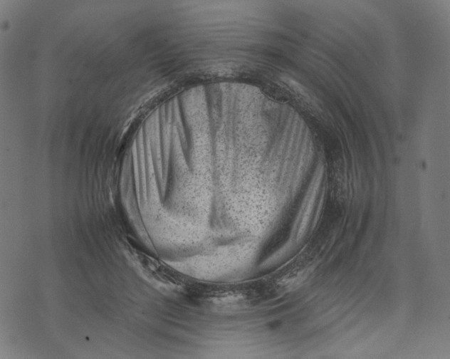 X0000074210500200609081534