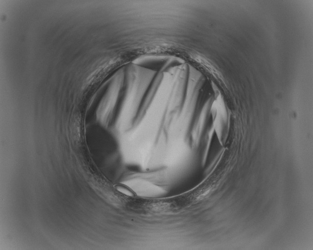 X0000074210501200609081534