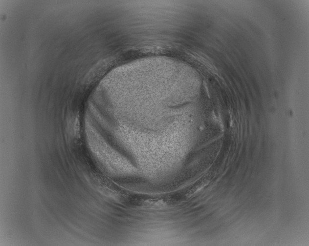 X0000074210502200609081534